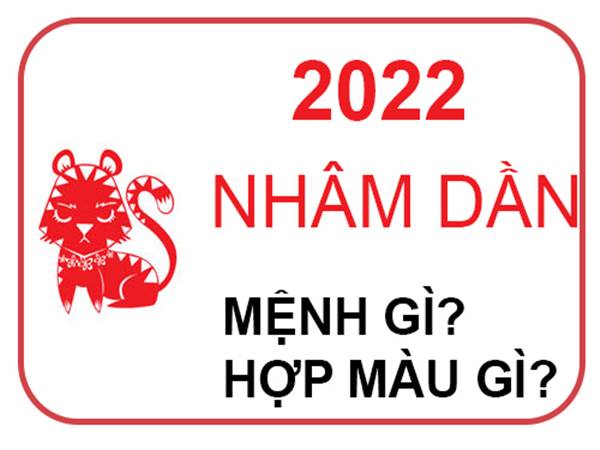 nam-2022-menh-gi-tuoi-con-gi-va-hop-voi-mau-nao