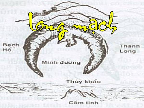 long-mach-la-gi