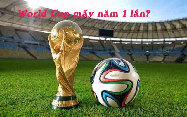 world-cup-may-nam-1-lan-world-cup-2022-to-chuc-o-dau