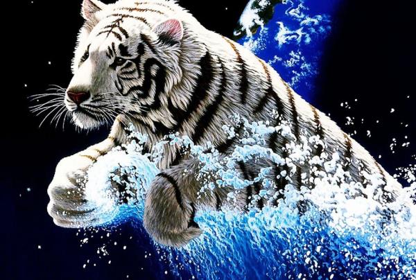Đâu là con số đẹp tuổi Dần 23/8/2025 phát tài nhanh?